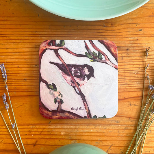 Coal Tit Coasters - Square (Pack of 4)